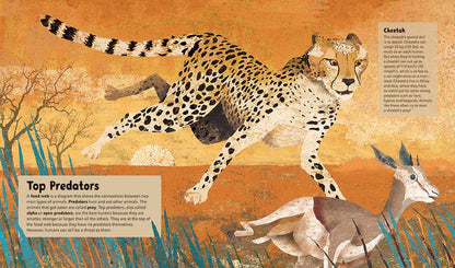 Incredible Animals - Children's Book